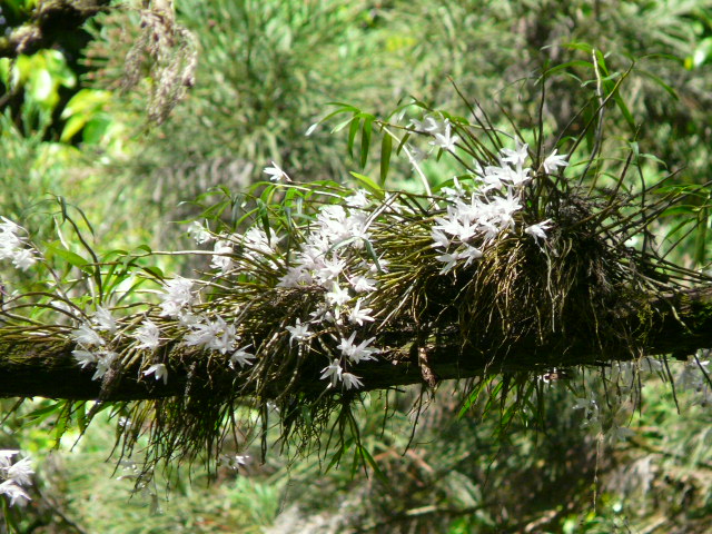 e0145782_17313416.jpg