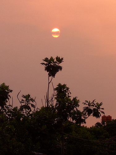 c0175883_22244815.jpg