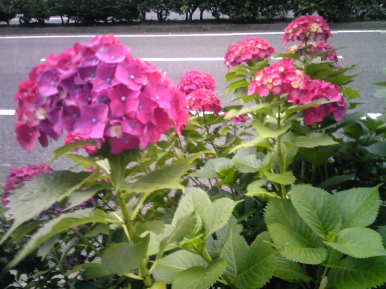 e0030085_1038892.jpg