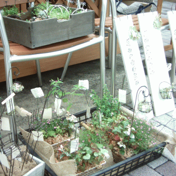 d0100192_23455034.gif