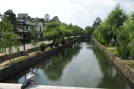 f0103797_13462329.jpg