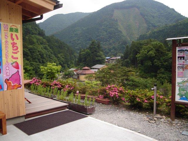 a0116205_16165925.jpg