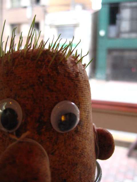 c0170307_14265271.jpg