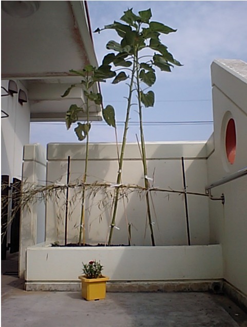 b0089616_1834351.jpg