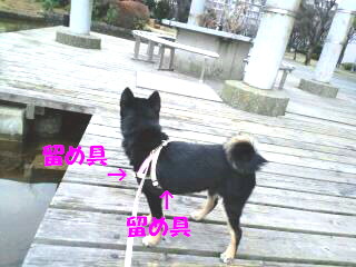 c0185516_15195235.jpg
