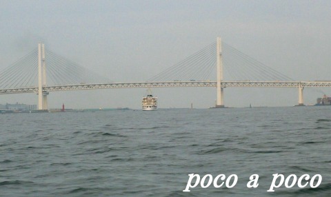 d0111216_2263317.jpg