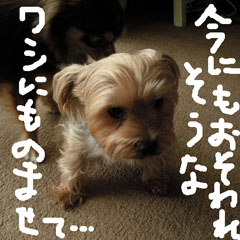 c0036617_723147.jpg
