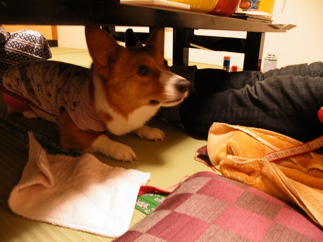 c0127617_2101029.jpg