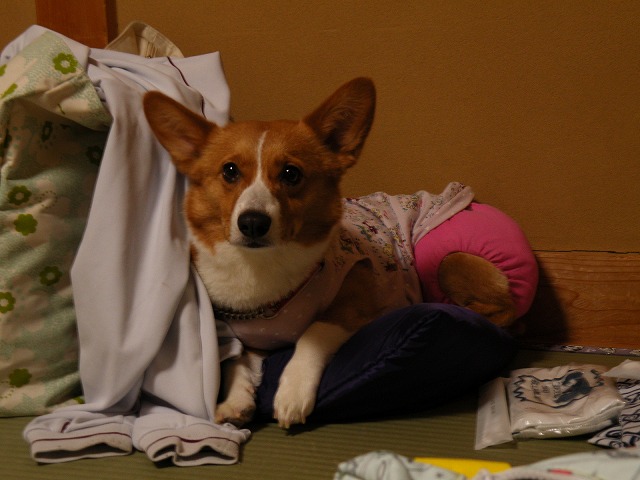 c0127617_2117489.jpg