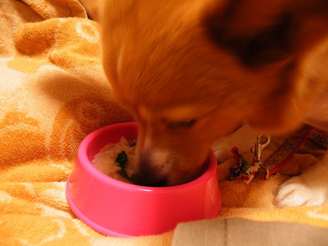 c0127617_2165131.jpg