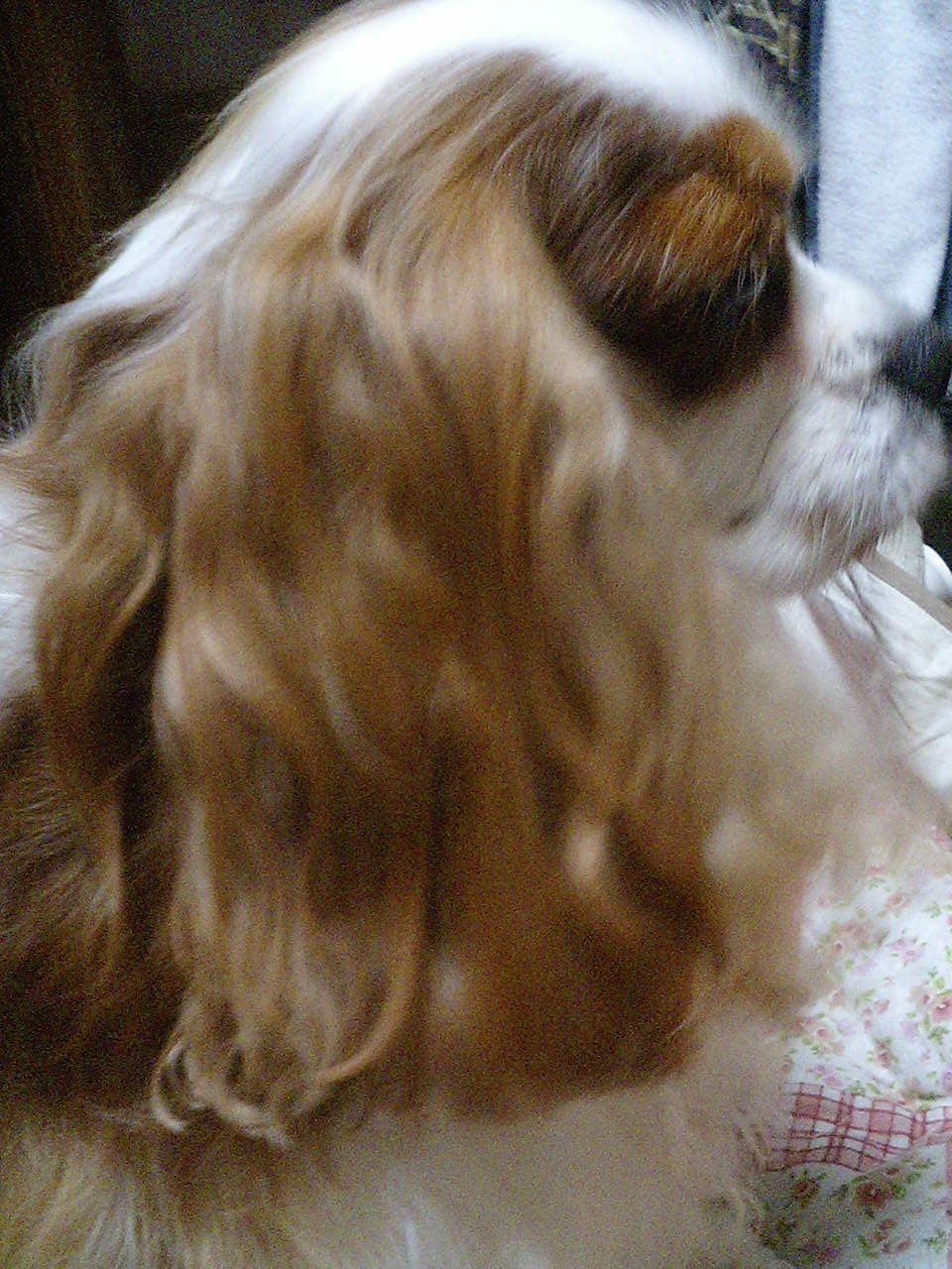 e0141626_15591240.jpg