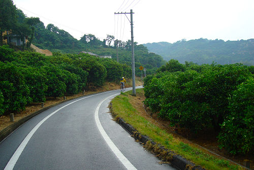 f0007926_14214375.jpg