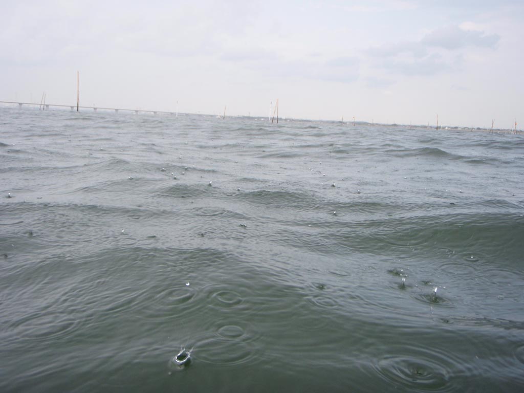 b0173629_15582563.jpg