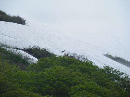 f0118332_22572123.jpg