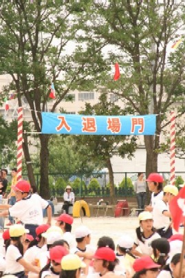 d0140533_14521563.jpg