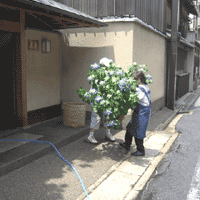 d0033734_1557291.gif