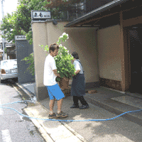 d0033734_15572969.gif