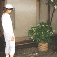 d0033734_1624272.gif