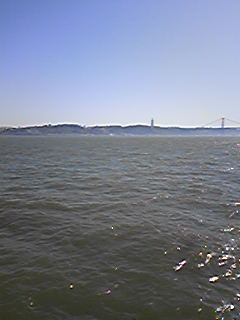 f0084436_23252115.jpg
