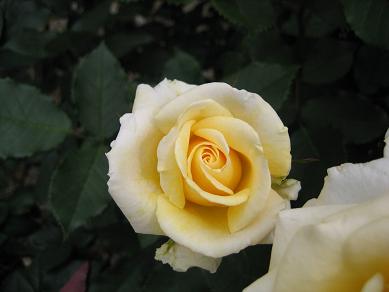 b0086939_17345474.jpg
