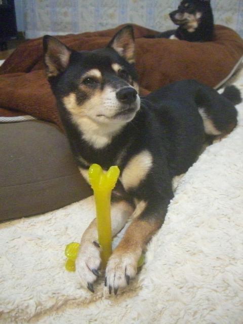 e0025240_2154318.jpg