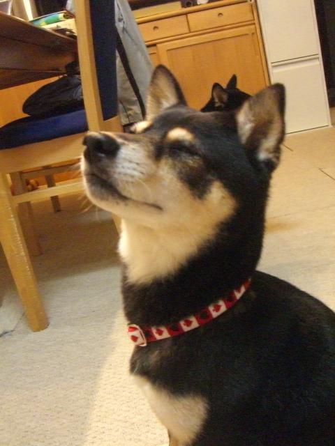 e0025240_22143928.jpg