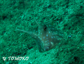 e0027447_0233024.jpg