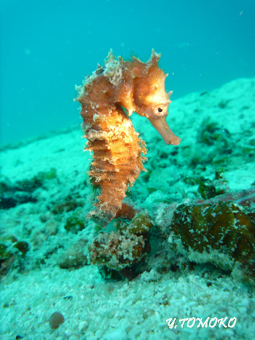 e0027447_0242289.jpg