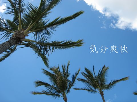 a0090451_2246161.jpg