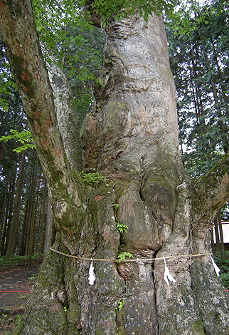 a0001354_21263747.jpg