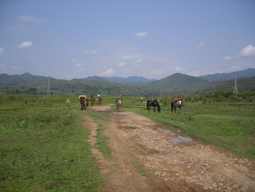 e0062454_2542638.jpg