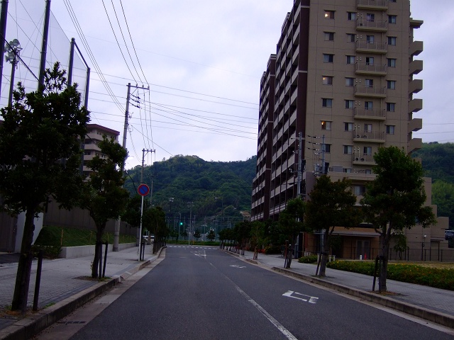 b0095061_958593.jpg