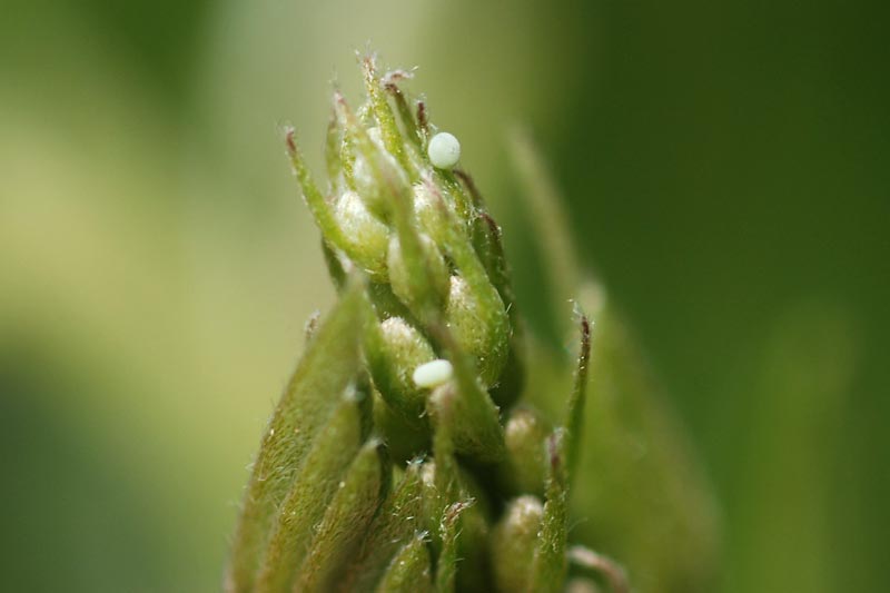 c0043361_153958.jpg
