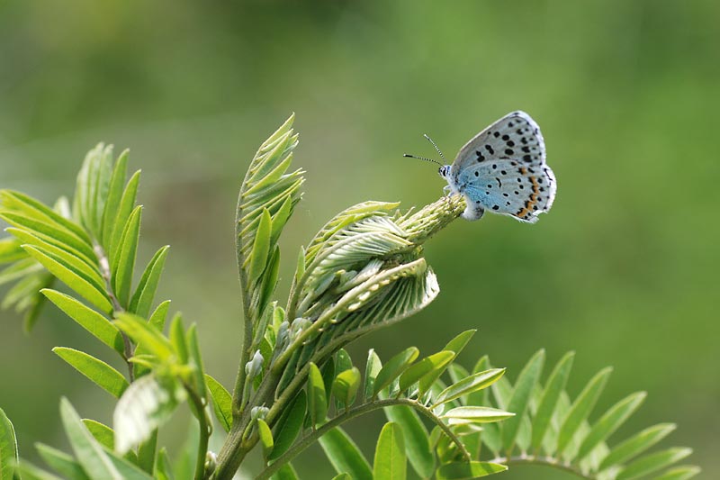 c0043361_161439.jpg