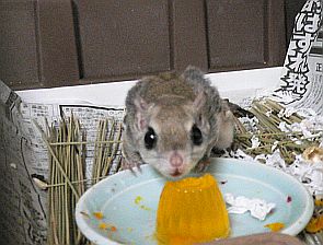 f0196665_2332651.jpg