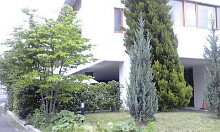 e0136066_20571787.jpg