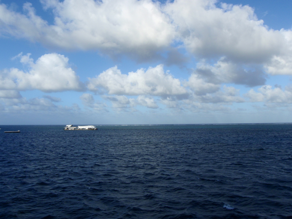 b0138768_7314956.jpg