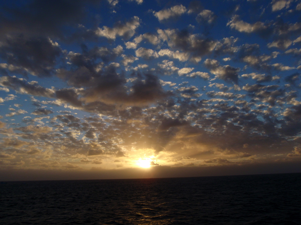 b0138768_7342968.jpg