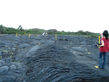e0066369_1423548.jpg
