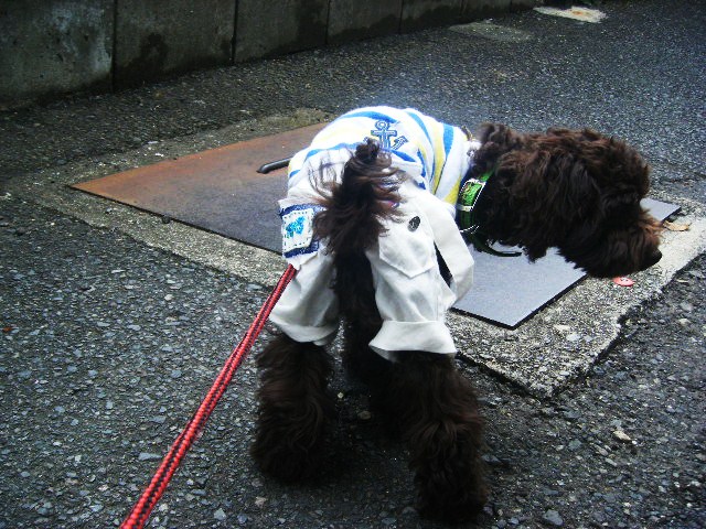f0207970_8585996.jpg