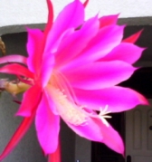 b0134673_144553.jpg