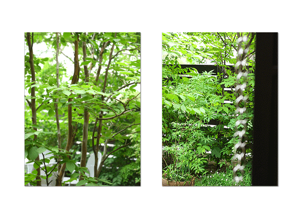 c0167576_79169.gif