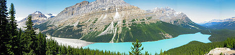 a0047577_1463897.jpg