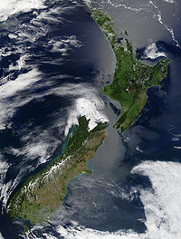 d0051179_5434698.jpg