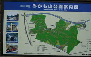d0082980_238197.jpg