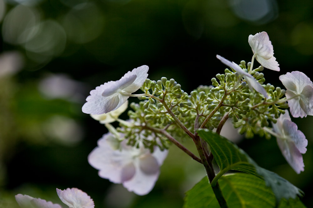 a0083081_16332653.jpg