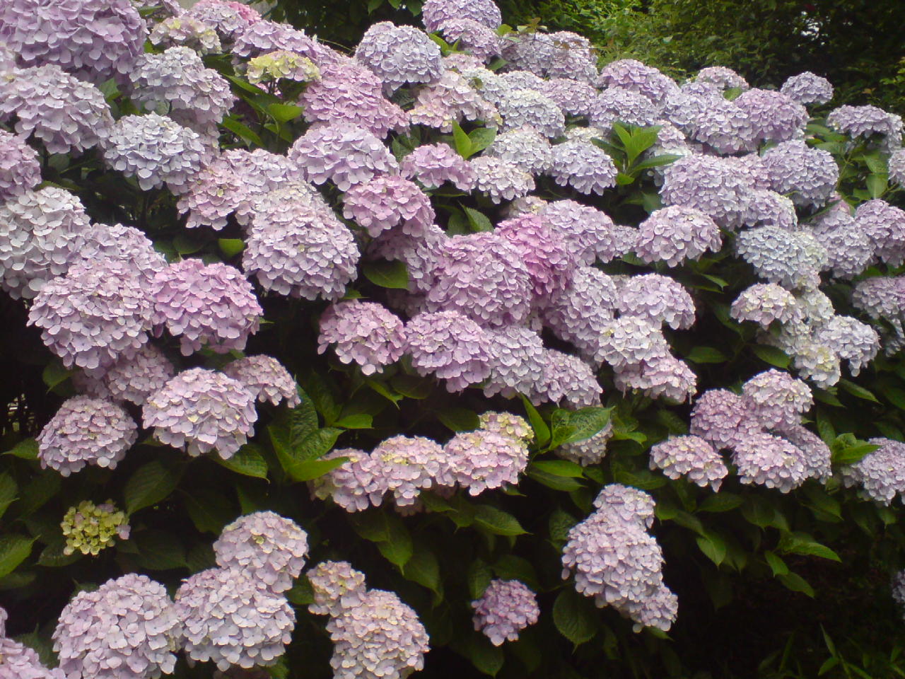 d0151485_22372134.jpg