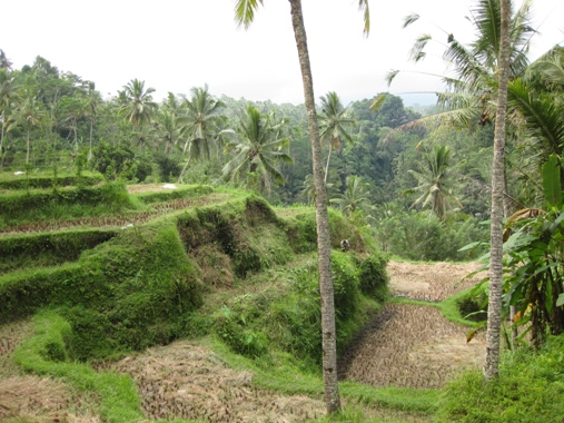 f0195286_313087.jpg