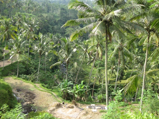 f0195286_3151100.jpg