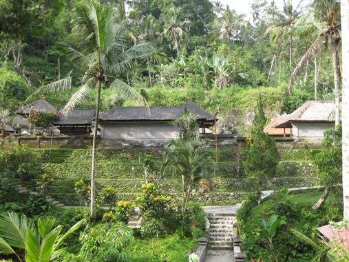 f0195286_3204651.jpg